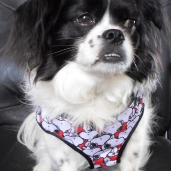 Peanuts® Snoopy Pet Harness - Dog Not Included - Picture 2 of 3